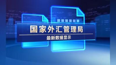 2023年12月末我国外汇储备为32380亿美元