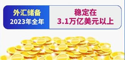 2023年我国外汇市场运行稳中向好 表现出较强韧性