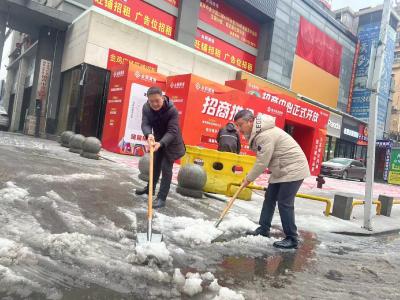 园林街道开展扫雪除冰志愿服务活动