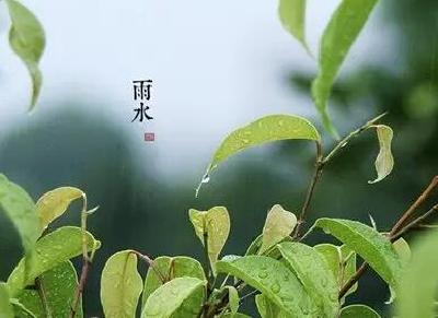 节令之美｜19日雨水：东风散为雨 雨润杏花开