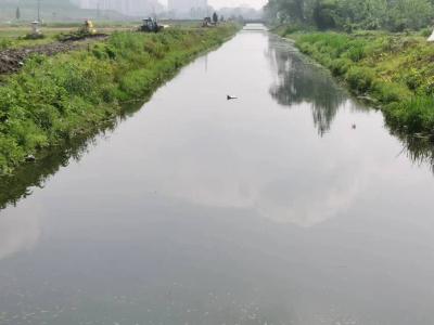 人居环境整治在行动 绘就美丽乡村新图景