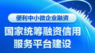 新华全媒+|便利中小微企业融资，国家统筹融资信用服务平台建设