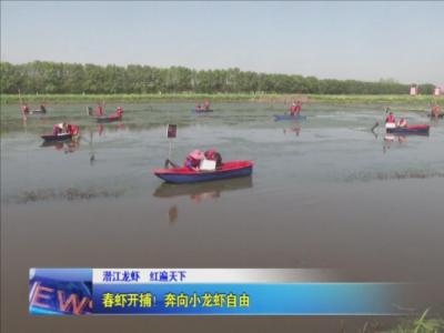 春虾开捕！奔向小龙虾自由