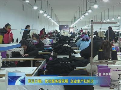 积玉口镇：优化服务促发展  企业生产红似火