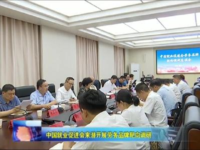 中国就业促进会来潜开展劳务品牌靶向调研