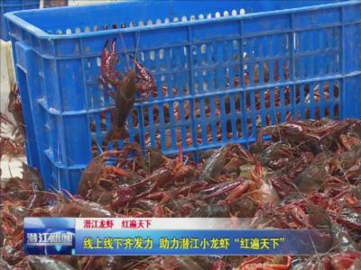 线上线下齐发力 助力潜江小龙虾“红遍天下”