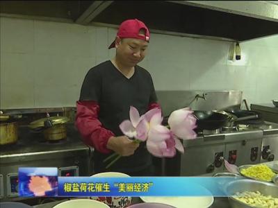 椒盐荷花催生“美丽经济”