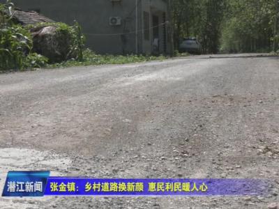 张金镇：乡村道路换新颜  惠民利民暖人心