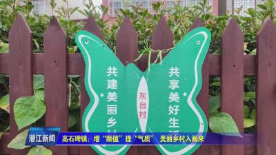 高石碑镇：增“颜值”提“气质”  美丽乡村入画来