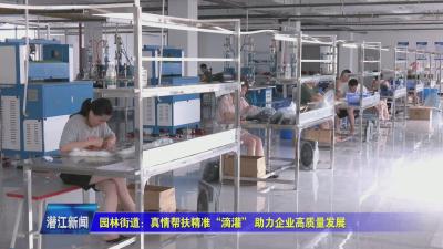 园林街道：真情帮扶精准“滴灌”  助力企业高质量发展