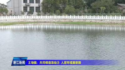 王场镇：共同缔造添动力  人居环境展新颜