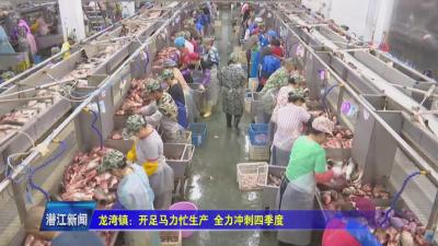 龙湾镇：开足马力忙生产  全力冲刺四季度