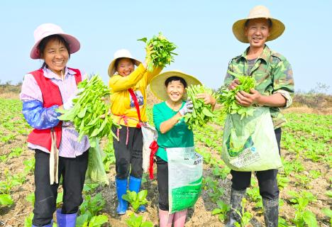 “虾一稻一菜”种养模式效益高