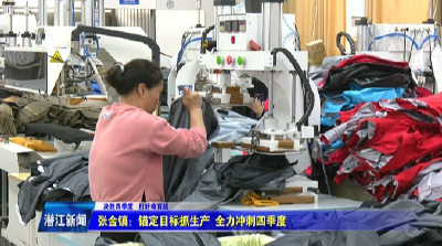 张金镇：锚定目标抓生产 全力冲刺四季度