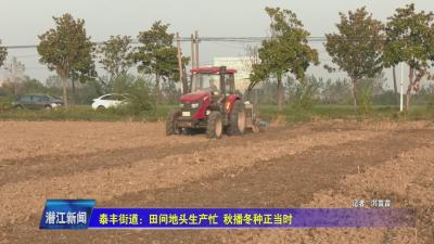 泰丰街道：田间地头生产忙  秋播冬种正当时