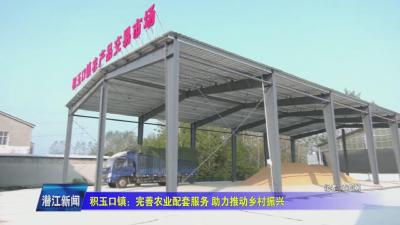 积玉口镇：完善农业配套服务  助力推动乡村振兴