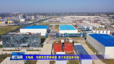 王场镇：持续优化营商环境 奋力实现全年目标