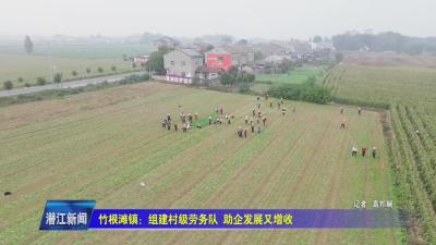 竹根滩镇：组建村级劳务队 助企发展又增收