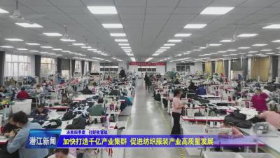 加快打造千亿产业集群 促进纺织服装产业高质量发展