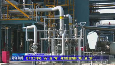 化工主引擎追“高”逐“绿”  经济新蓝海扬“帆”启“航”