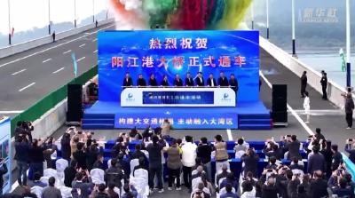 阳江港大桥通车试运营 广东再添新跨海通道