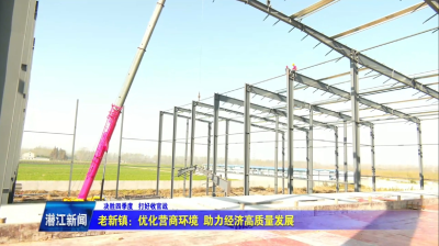 老新镇：优化营商环境  助力经济高质量发展