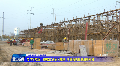 总口管理区：推进重点项目建设 厚植高质量发展新动能