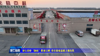 潜江龙虾“游向”黄浦江畔 舌尖美味温暖上海市民