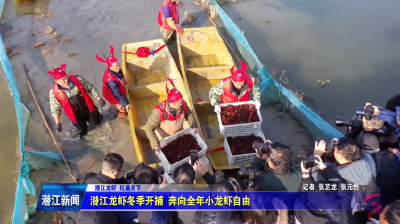 潜江龙虾冬季开捕 奔向全年小龙虾自由