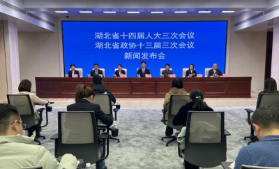 湖北如何加快建成支点，代表委员来支招