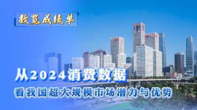 从2024消费数据看我国超大规模市场潜力与优势