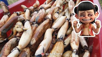 啥？！哪吒重塑肉身用的是黄湾藕！