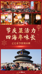 节庆显活力 四海年味长——乙巳春节假期回眸