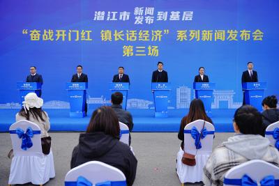 “奋战开门红 镇长话经济”系列新闻发布会第二、三场举行