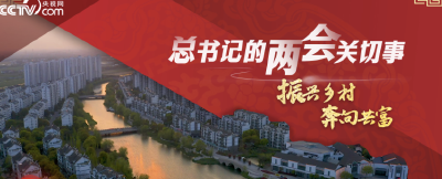 总书记的两会关切事｜振兴乡村 奔向共富