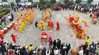 龙湾镇第九届“中和节”非遗展示活动燃爆郑家湖