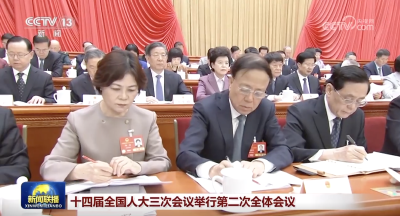 十四届全国人大三次会议举行第二次全体会议 习近平等出席
