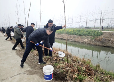 广华寺街道开展春季义务植树活动