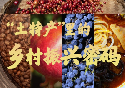 学习新语｜“土特产”里的乡村振兴密码   