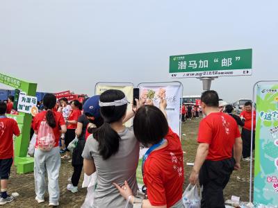 美食美景 “邮”你正好