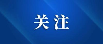 全市党建引领基层治理和基层政权建设重点工作任务推进暨业务培训会议召开