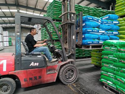 高场街道：科技赋能提产能
