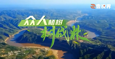 壹视界·微视频｜众人植树树成林