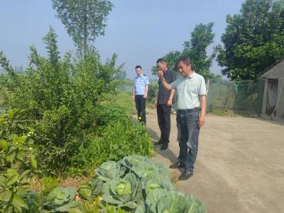 白鹭湖管理区开展禁种铲毒集中踏查行动