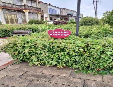 共建美丽家园 共享幸福生活