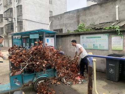 杜家沟社区：“三字诀”推进环境更新