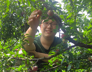 古稀匠心育佳果 新农巧思拓销路