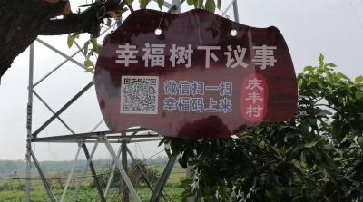 党群共治绘就“三生融合”新图景