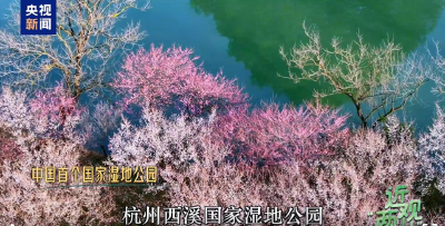 近观“两山”丨西溪往事