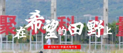 学习知行·中国式现代化丨在希望的田野上